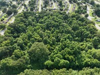 11.44 Acres in Shelby County TN : Memphis : Shelby County : Tennessee