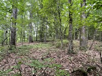 Acreage, Estate Tract Near Roopvil : Roopville : Heard County : Georgia