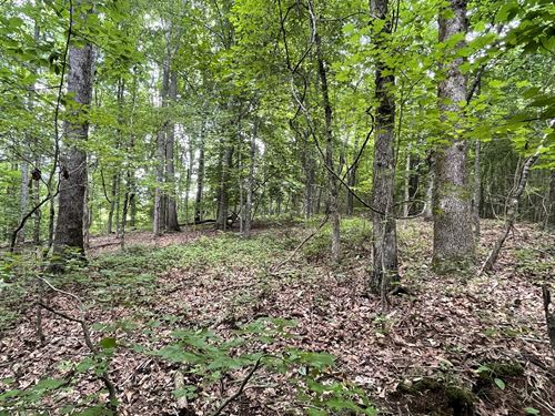 Acreage, Estate Tract Near Roopvil : Roopville : Heard County : Georgia