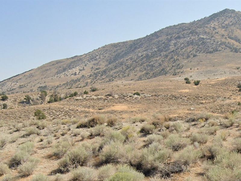 Valley Views, Power On : Wells : Elko County : Nevada