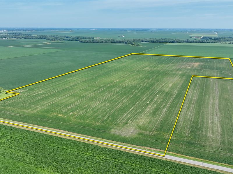 Land Auction, Iroquois County, IL : Milford : Iroquois County : Illinois