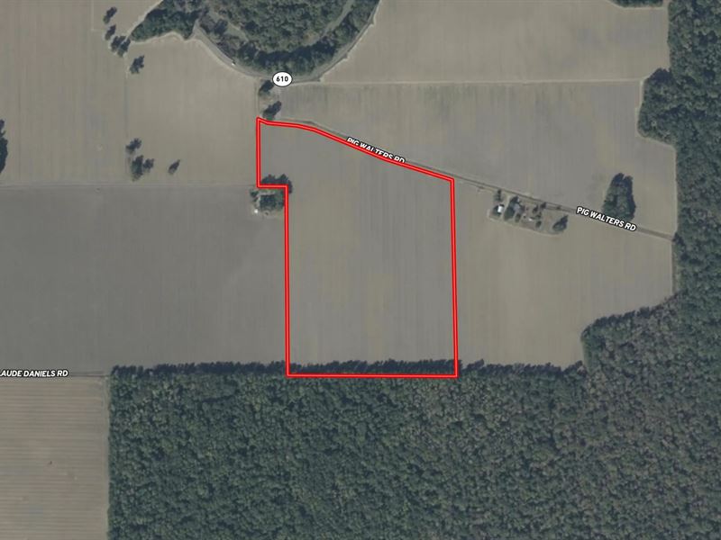 La, Franklin 42 Acres : Crowville : Franklin Parish : Louisiana