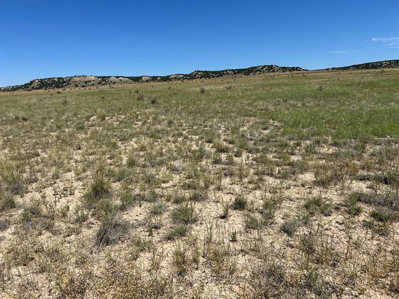 Lot 4 Outback Ranch, Model, Co 8105 : Model : Las Animas County : Colorado