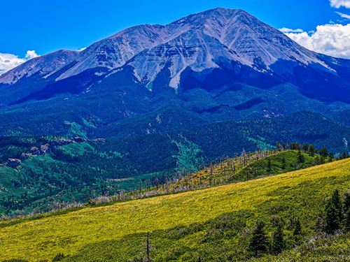 Lot 37 Raspberry Mountain Ranch, LA : La Veta : Huerfano County : Colorado