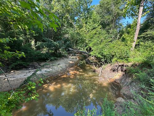 25 Acres on Sandy Creek in Bibb : Centreville : Bibb County : Alabama