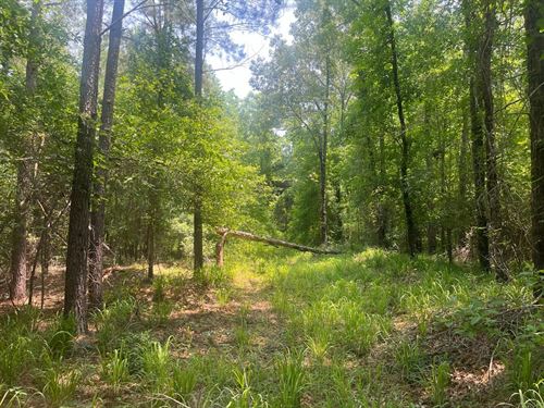 Branan Road Home & Hunt : Toomsboro : Wilkinson County : Georgia