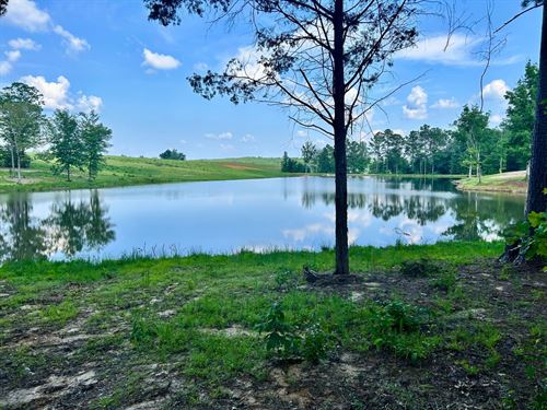 60 Acre Recreational Tract, CA : Carrollton : Pickens County : Alabama