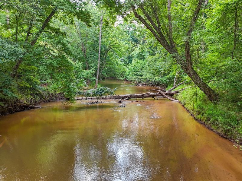 96 Acres, Homestead/Hunting Retre : Hamilton : Harris County : Georgia
