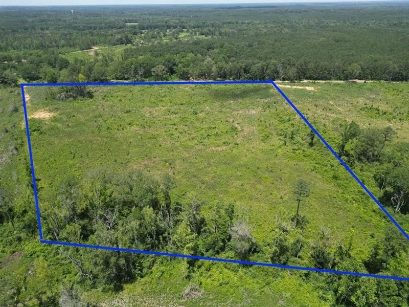 Land for Sale in Amite County, MS : Liberty : Amite County : Mississippi