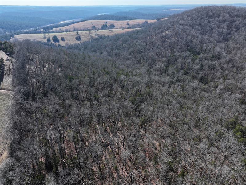 73 Wooded Acres in Ozark Co. MO : Gainesville : Ozark County : Missouri