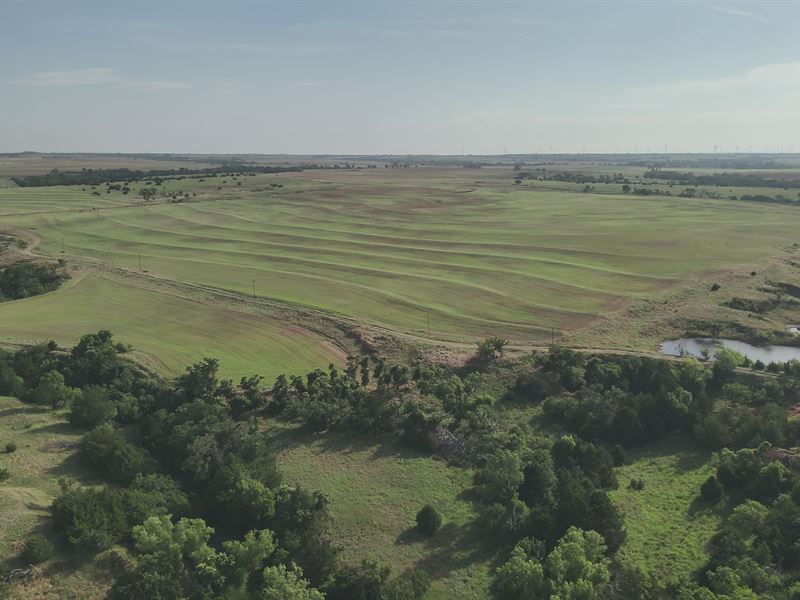 240 Acres of Farmland & Grassland : Arapaho : Custer County : Oklahoma