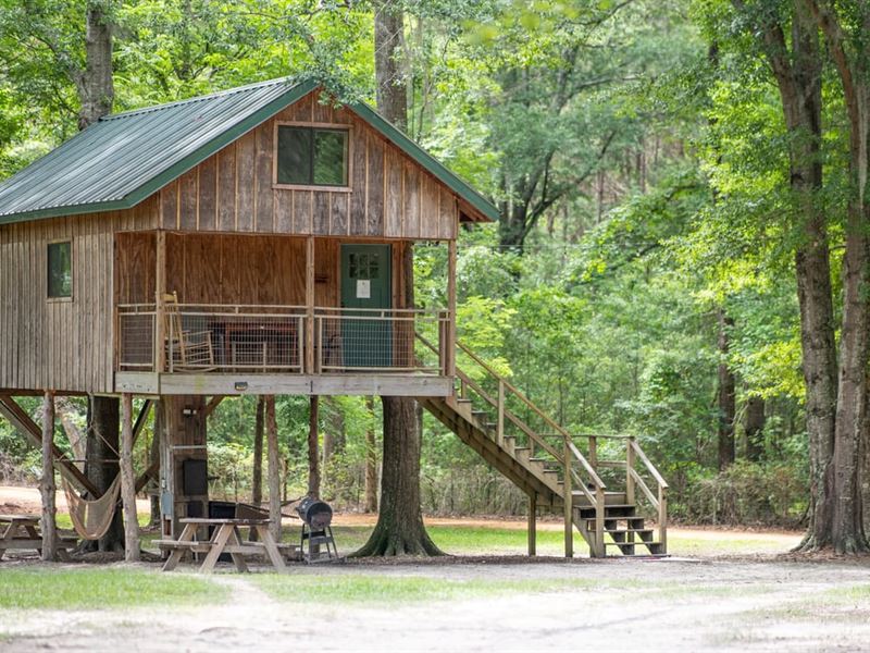 Two Treehouse Cabins, Hunting Retre : Letohatchee : Lowndes County : Alabama