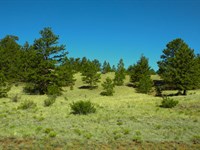 Nine Mile Heights : Hartsel : Park County : Colorado