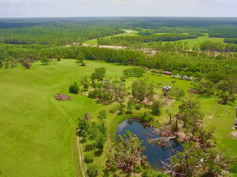 Flowing Well Farm : Bonifay : Holmes County : Florida