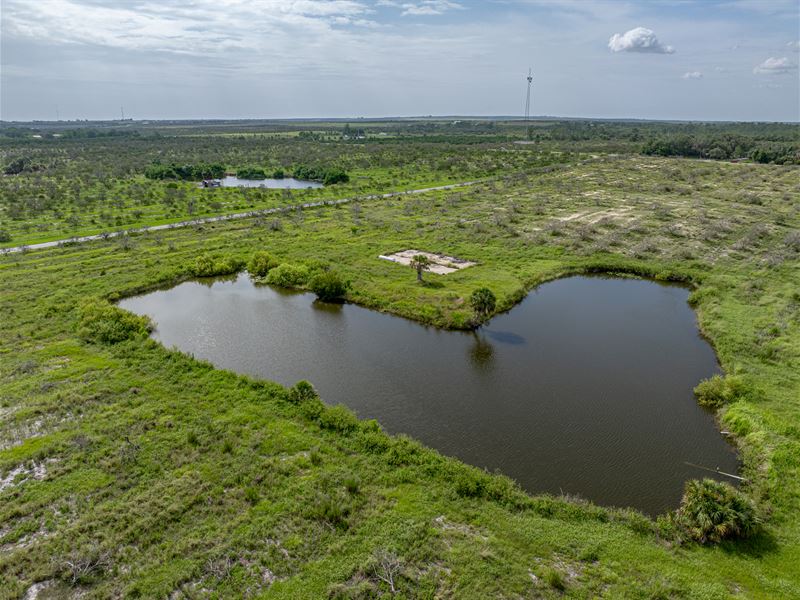 Lake Reedy Reserve : Frostproof : Polk County : Florida