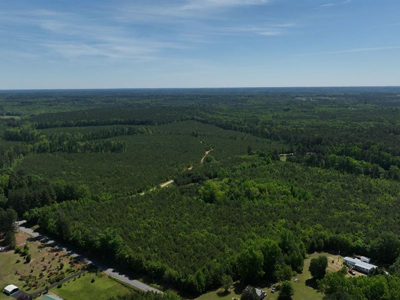 13.08 Acres in Brunswick County NC : Alberta : Brunswick County : Virginia