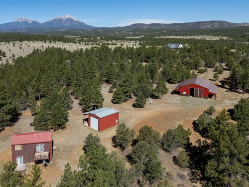 70 Acre Mountain Retreat : Aguilar : Las Animas County : Colorado