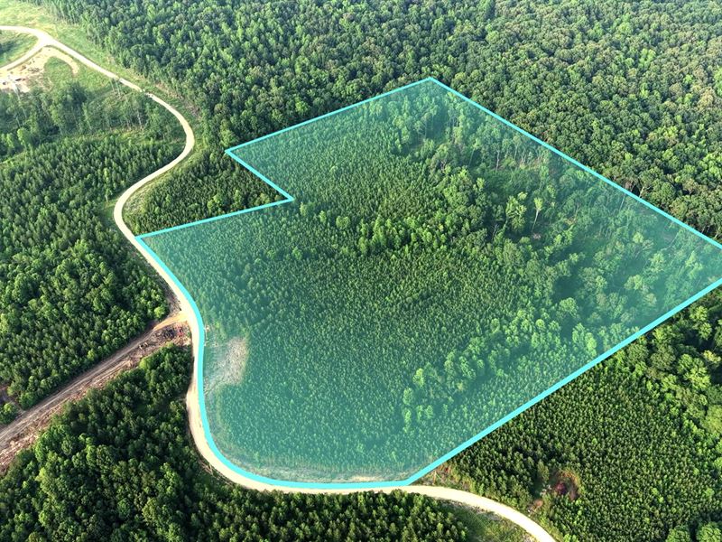 24 Acres, Power & Fiber Internet : Dover : Stewart County : Tennessee