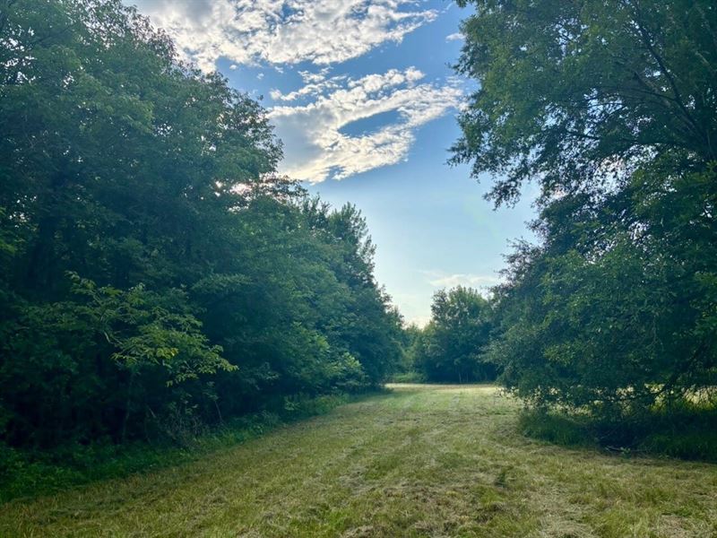 70 Acres of Fine Tensas Parish Hunt : Waterproof : Tensas Parish : Louisiana
