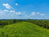 Twp Rd 177, 71 Acres : Willow Wood : Lawrence County : Ohio