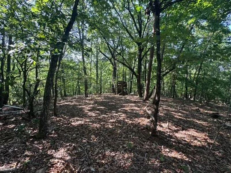 25 Acres On Scenic Mountain Dri : Pickens : Pickens County : South Carolina