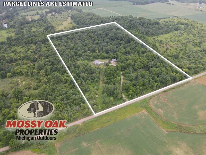 3600 Lamb Rd, Osseo, Mi, 25 Ac : Osseo : Hillsdale County : Michigan