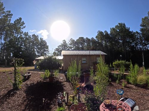 Remote Cabin on 55 Acres of Pine Pl : Columbia : Marion County : Mississippi