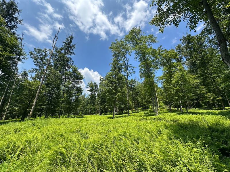 PA 879, Karthaus, Centre, 53.53 : Karthaus : Clearfield County : Pennsylvania