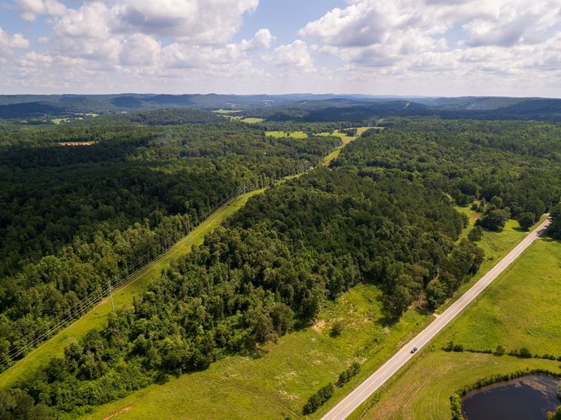 74.5 Acres Blount County, Alaba : Oneonta : Blount County : Alabama