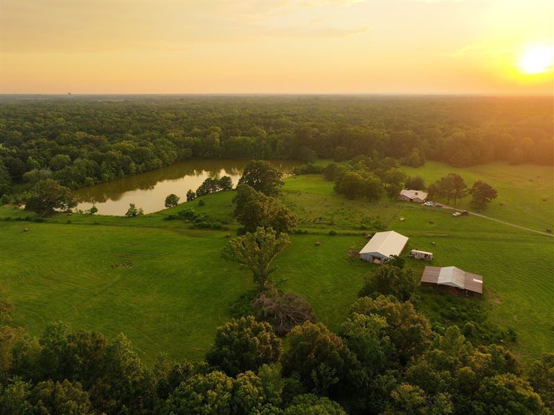 Turnkey Farm with Georgouse Home : Hope Hull : Montgomery County : Alabama