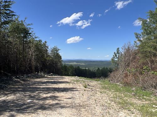 Dividable 309 Ac. Long Range Views : Rydal : Bartow County : Georgia