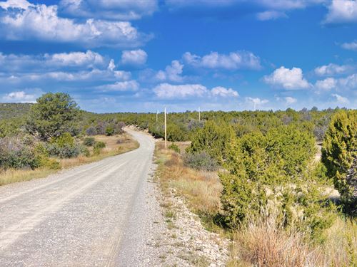 20 Acres, Power & Owner Financing : Estancia : Torrance County : New Mexico