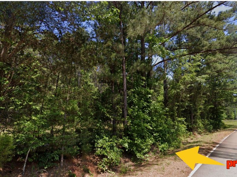 Land Minutes Away From Adventures : Elberton : Elbert County : Georgia