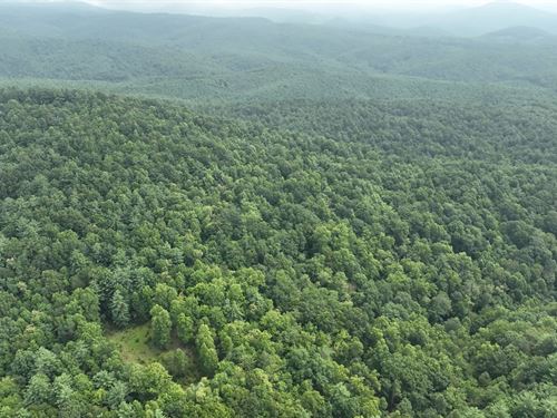 39.82 Acres in Wilkes County NC : Millers Creek : Wilkes County : North Carolina