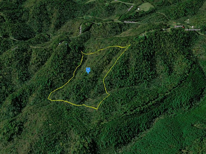 39.82 Acres in Wilkes County NC : Millers Creek : Wilkes County : North Carolina