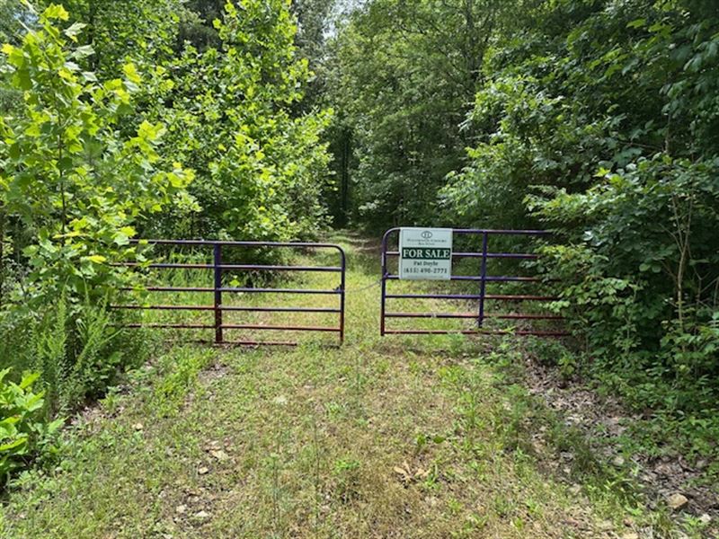 Tennessee Ridge 95 : Dover : Stewart County : Tennessee