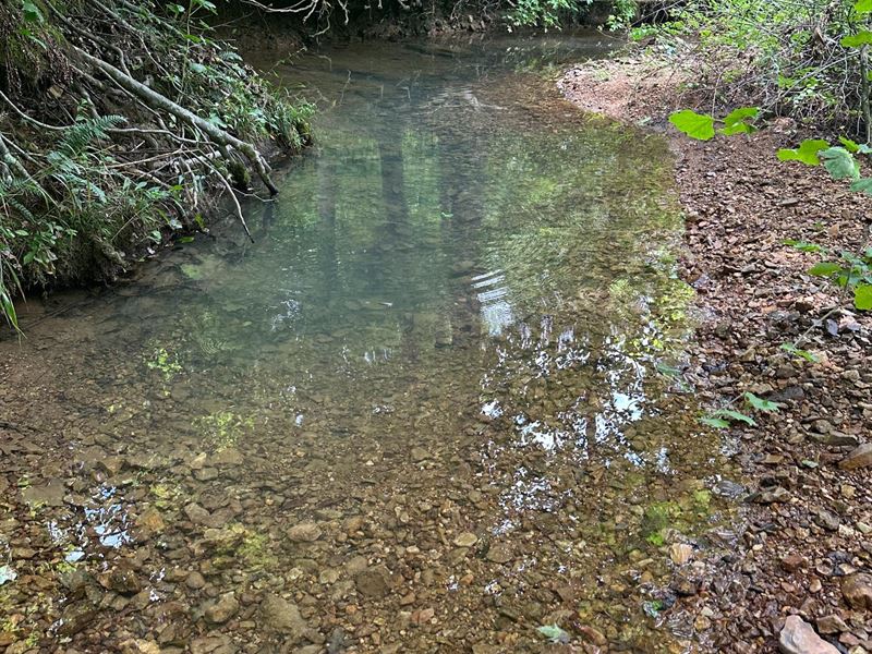 Tennessee Ridge 95 : Dover : Stewart County : Tennessee