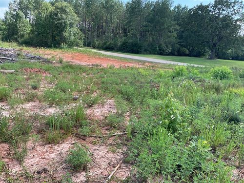 Centenary Road Tract : Luverne : Crenshaw County : Alabama