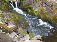 North Georgia Secluded Acreage : Baldwin : Banks County : Georgia