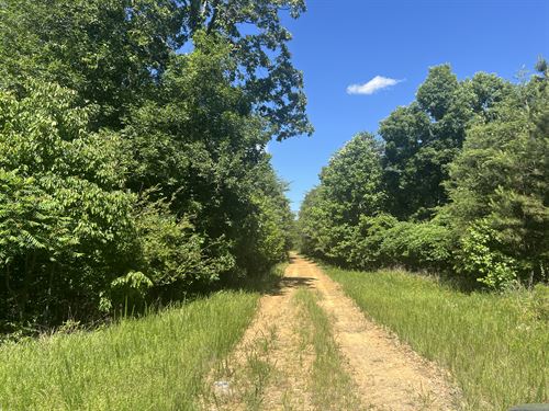 100 Acres Long Range Views $4800/Ac : Rydal : Bartow County : Georgia