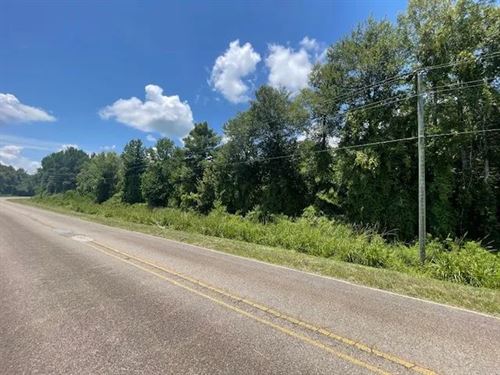44.5 Acres, Tylertown, MS : Tylertown : Walthall County : Mississippi