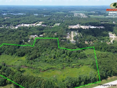 27 Acres / Buildable, Bucks : Paw Paw : Van Buren County : Michigan