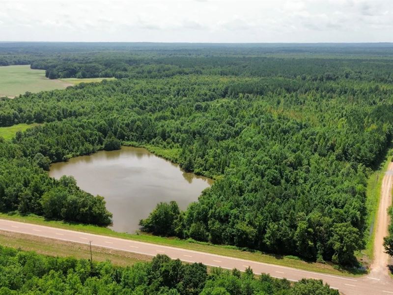 40.28 Acres in Grenada County in Ho : Holcomb : Grenada County : Mississippi