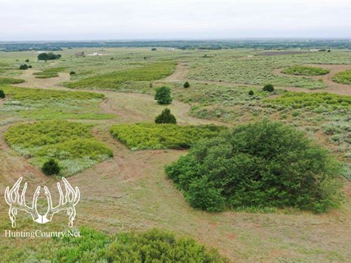 120 Acres Woods County, Oklahoma : Alva : Woods County : Oklahoma