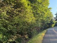 23 Acres Warrior Valley Rd : Walnut Grove : Etowah County : Alabama