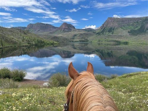 Premier Wilderness Lodge for Sale : Meeker : Garfield County : Colorado