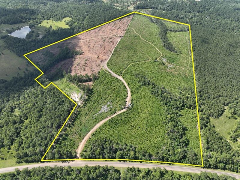 125 Acres, T-3, Highway 63, 2870 : Burkeville : Newton County : Texas