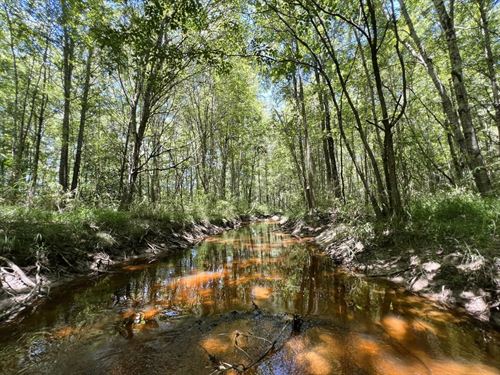 Gumm Creek Hunting & Recreation : Sandersville : Washington County : Georgia