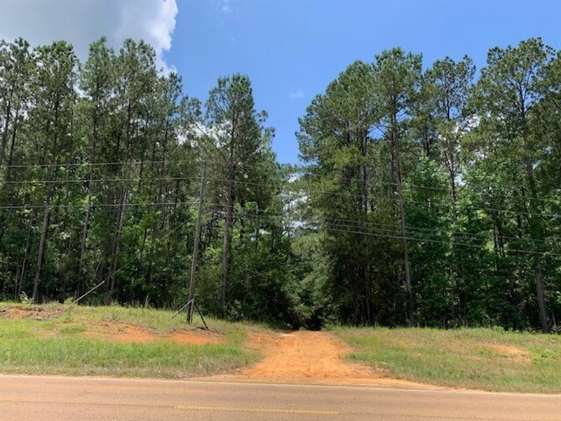 11 Acres of Beautiful Hunting : Summit : Pike County : Mississippi