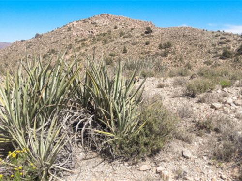 46 Acres North of Kingman : Hackberry : Mohave County : Arizona